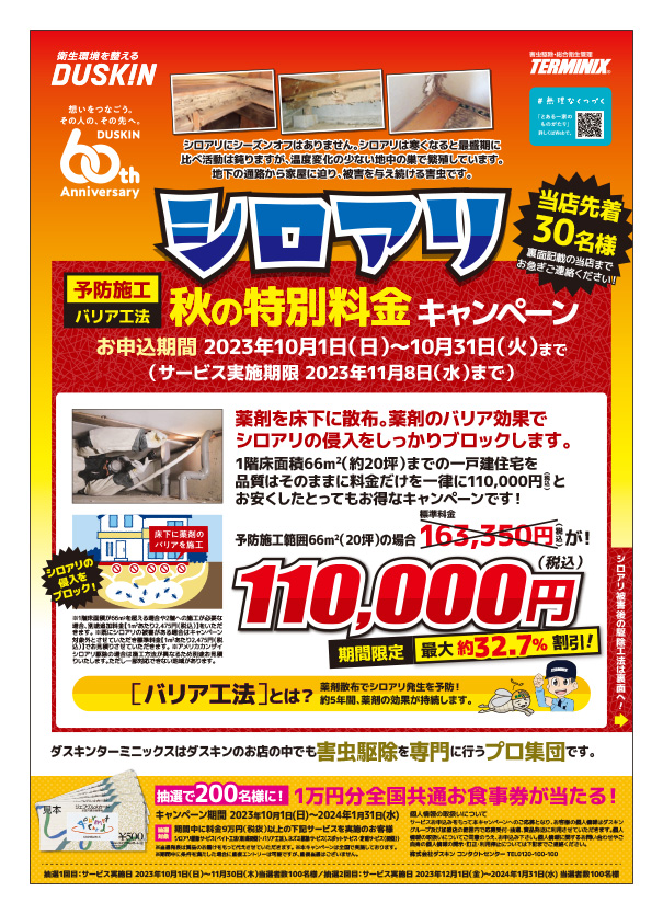 5月チラシ