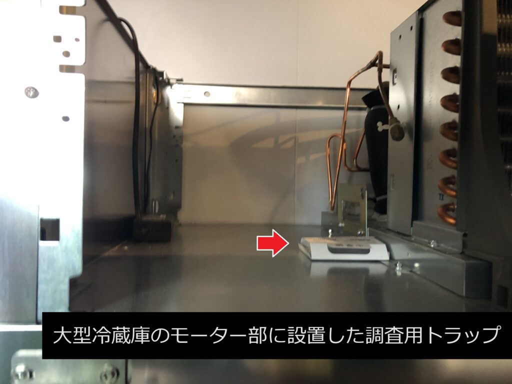 冷蔵庫モーター部分に設置されたゴキブリ用調査トラップの画像